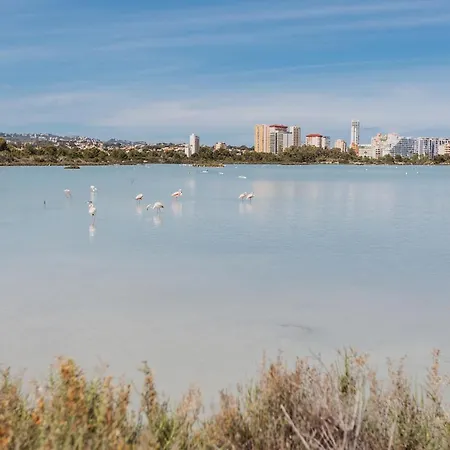 Апартаменты Casa - With The View