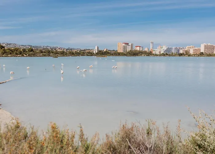 Apartment Casa - With The View